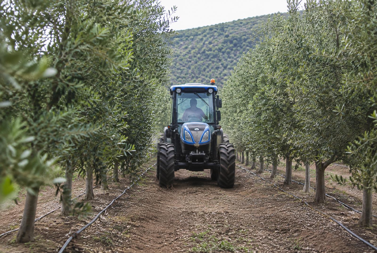 Illustrative image — orchard operations. Not a CTS site.